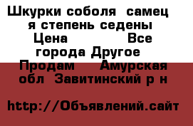 Шкурки соболя (самец) 1-я степень седены › Цена ­ 12 000 - Все города Другое » Продам   . Амурская обл.,Завитинский р-н